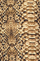 Snake Skin Print Capri