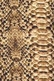 Snake Skin Print Capri